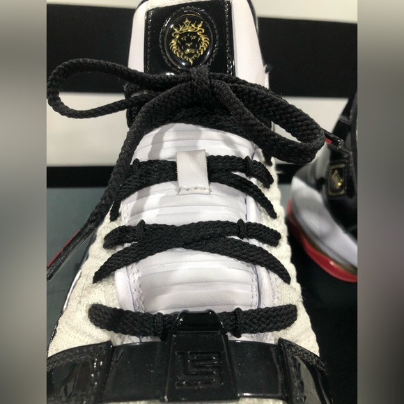 RARE NWT Nike Lebron XBI SB Shoes - Picture 8 of 8